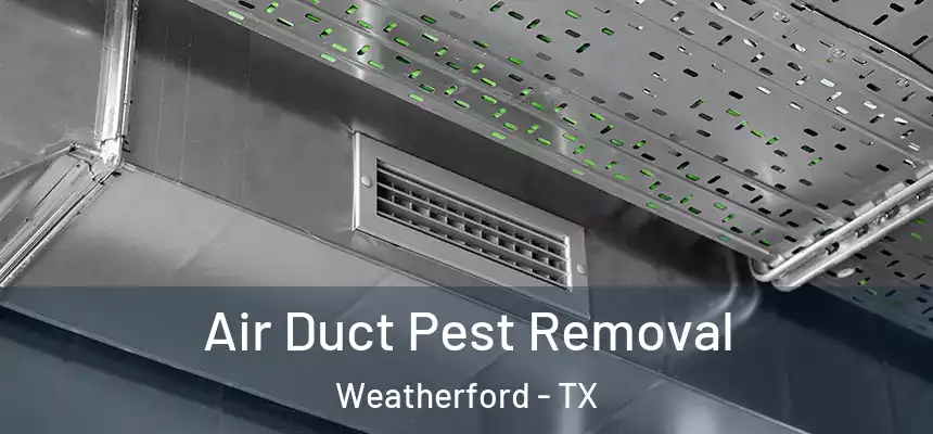 Air Duct Pest Removal Weatherford - TX