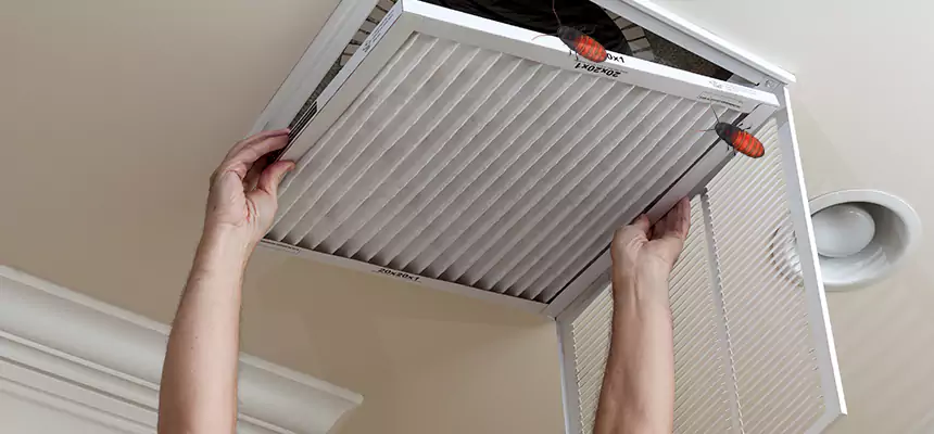 Our Insect Removal from Air Ducts Services in Weatherford, TX