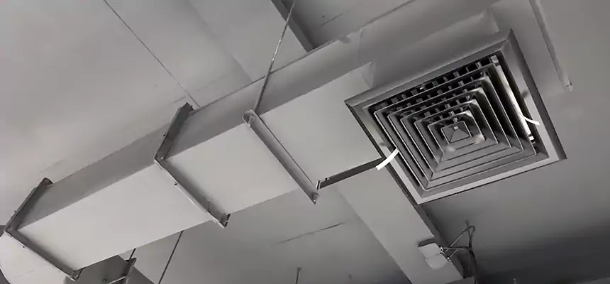 Our Pest Removal From Ducts Services in Weatherford, TX