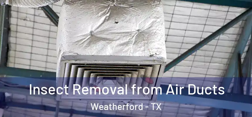 Insect Removal from Air Ducts Weatherford - TX
