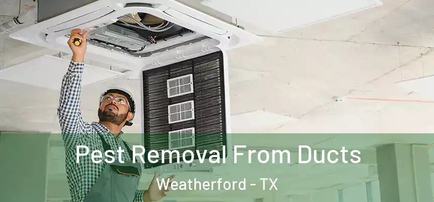 Pest Removal From Ducts Weatherford - TX