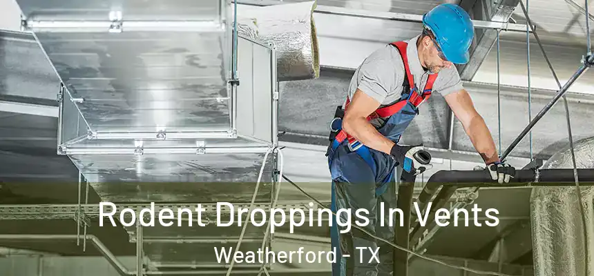  Rodent Droppings In Vents Weatherford - TX