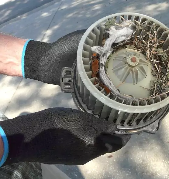 About Air Duct Mice Removal in Weatherford, TX