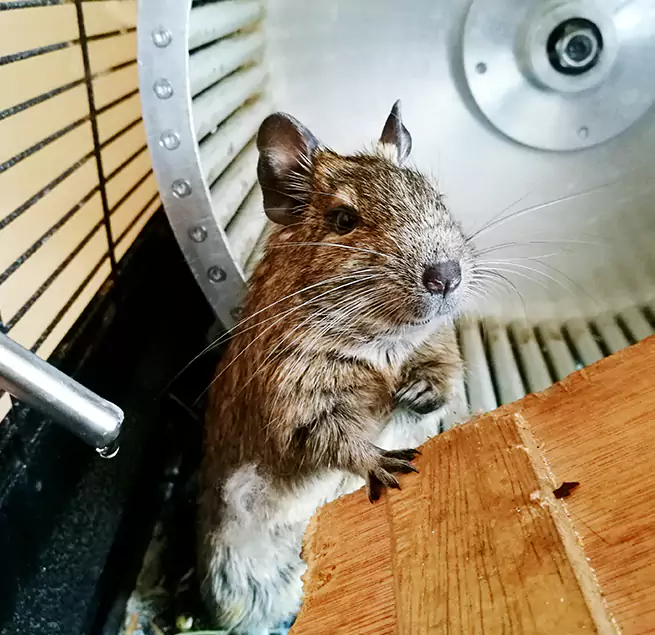 Why Homeowners & Businesses Trust Us Weatherford, TX?